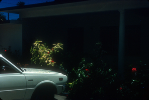 1978-07-Summer-Jamaica