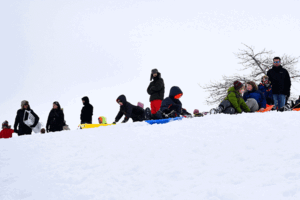 Sledding