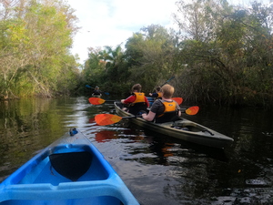 Everglades