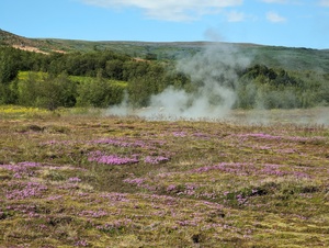 Geysir