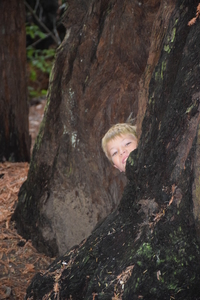 BigBasin