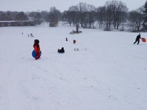 Sledding